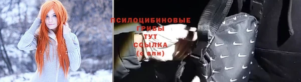 гидропоника Бугульма