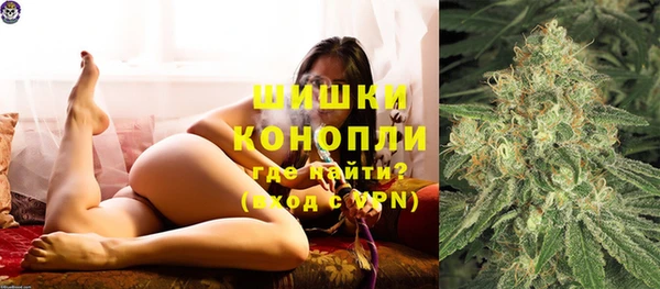 тгк Бронницы